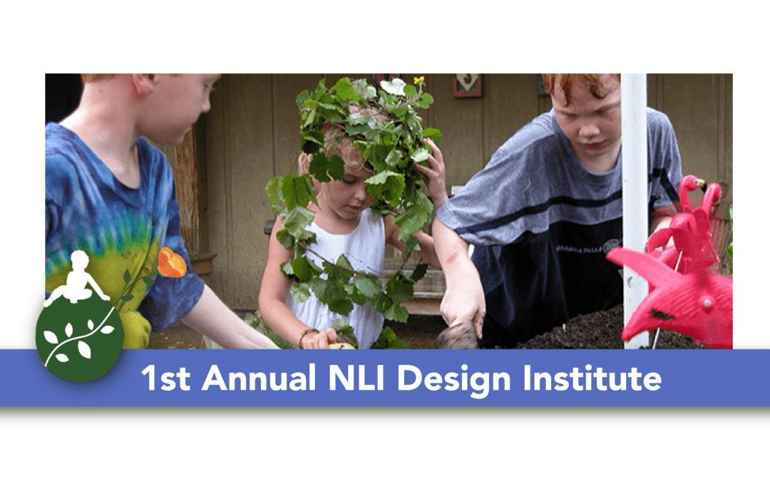 1st Annual NLI Design Institute