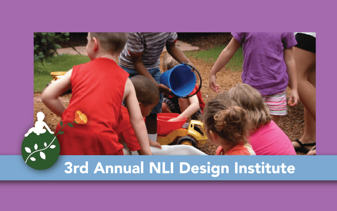 3rd Annual NLI Design Institute