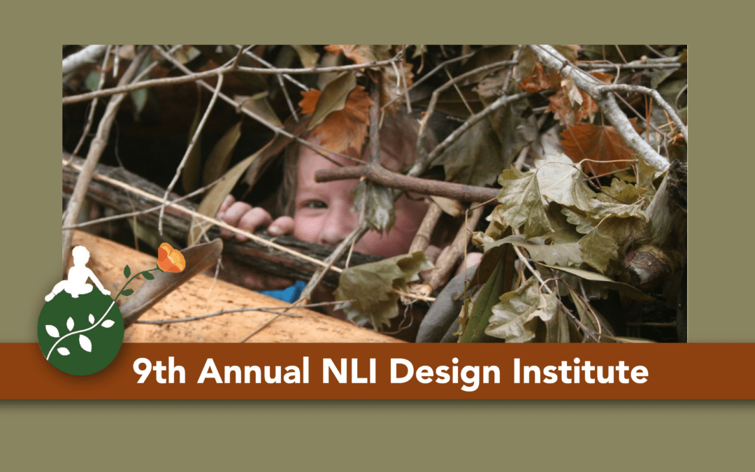 9th Annual NLI Design Institute