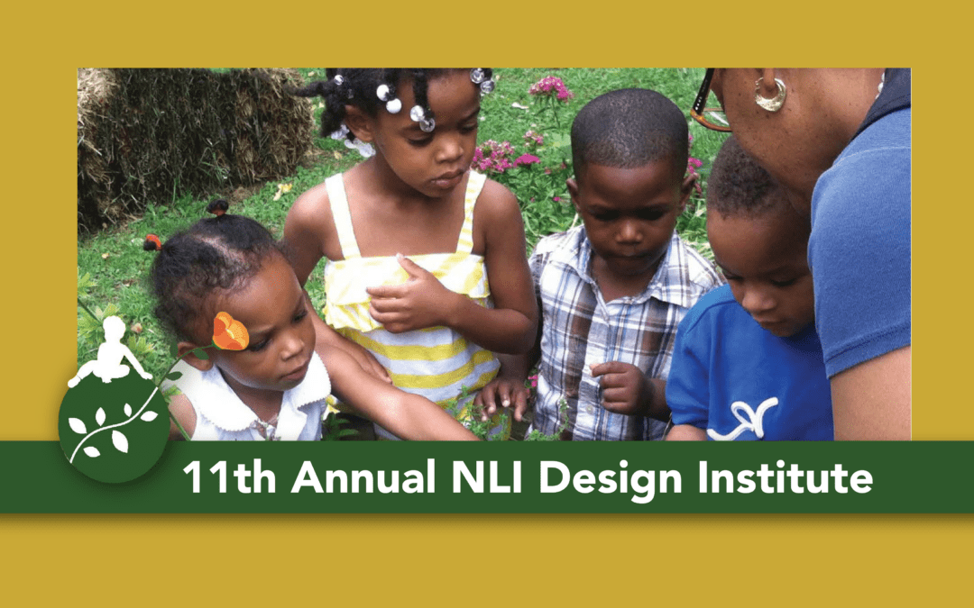 11th Annual NLI Design Institute