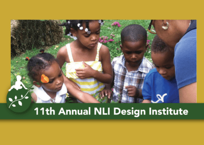 11th Annual NLI Design Institute
