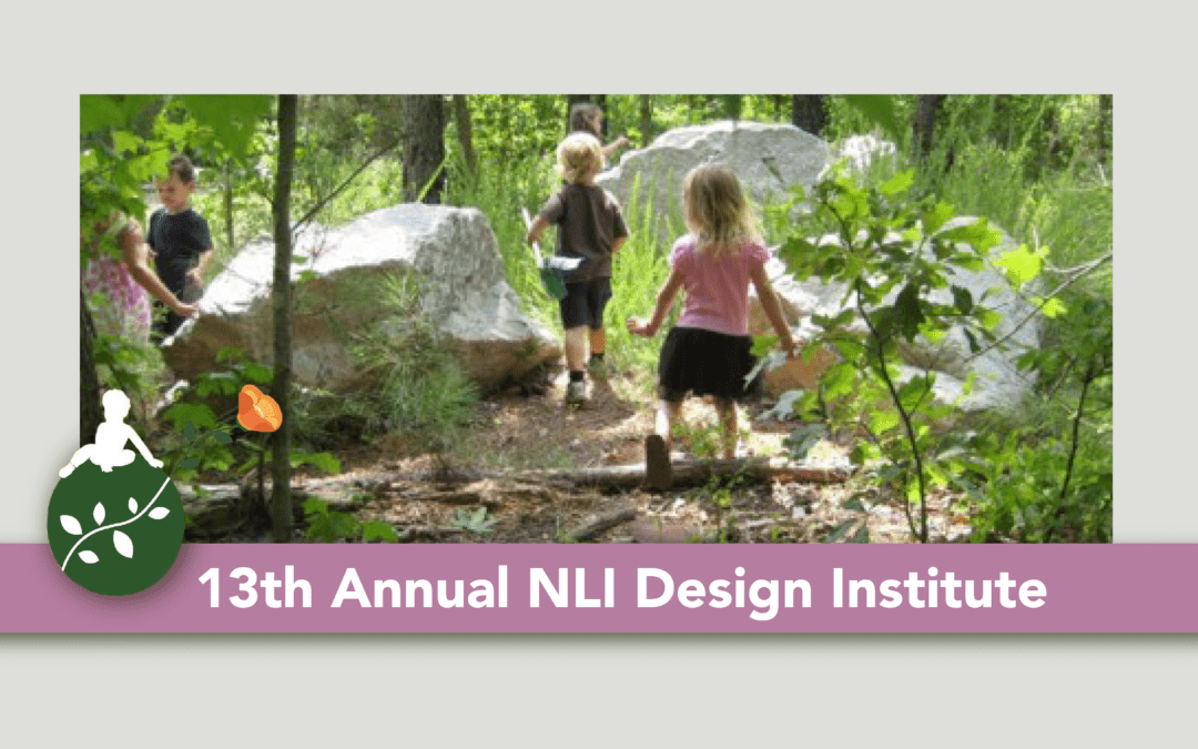 13th Annual NLI Design Institute