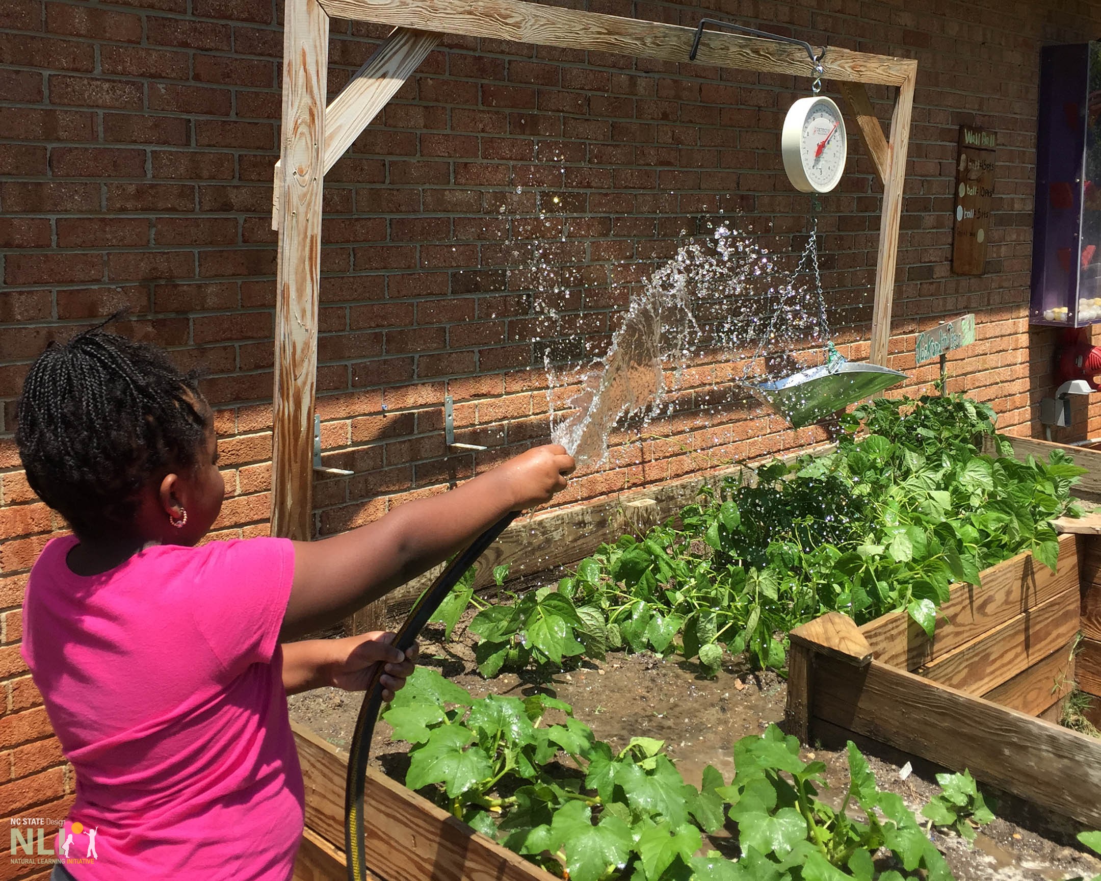 child watering a garden