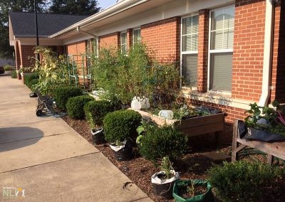 side walk garden with various plants and raised garden beds