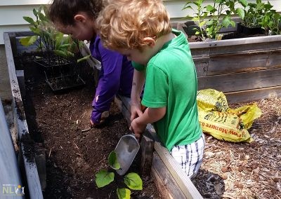 children planting in fruit and vegetable garden