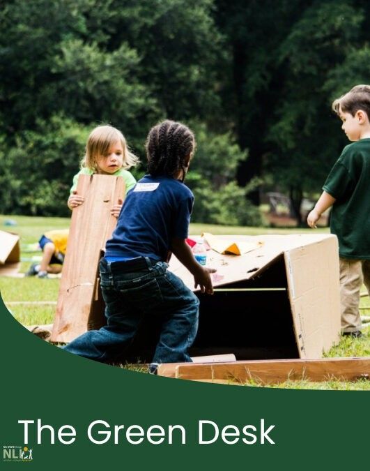 PlayDaze for Engaging Outdoor Activity