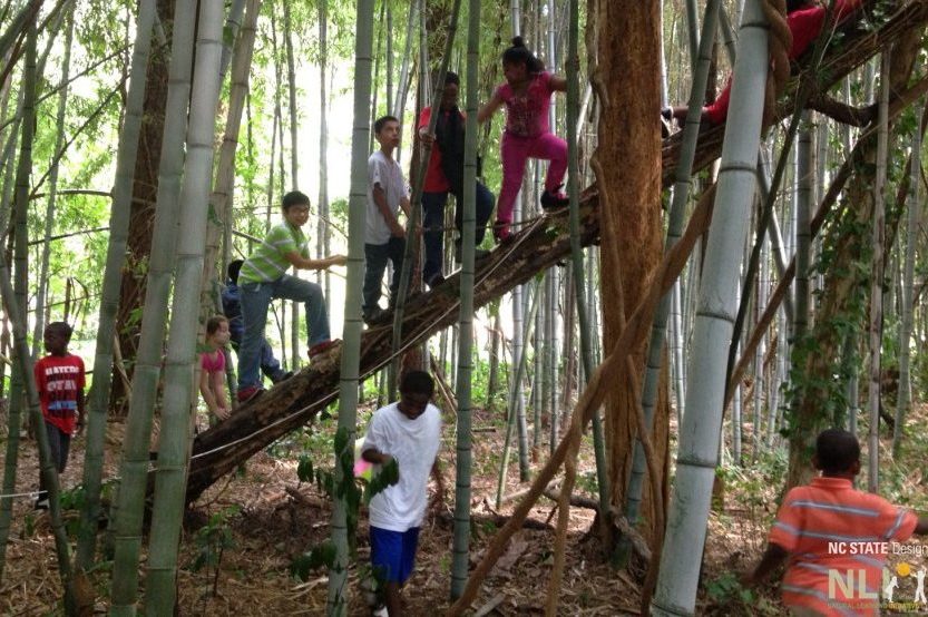 children climbing on a log