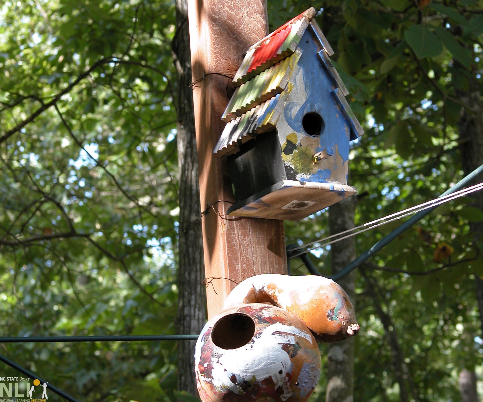 painted bird houses