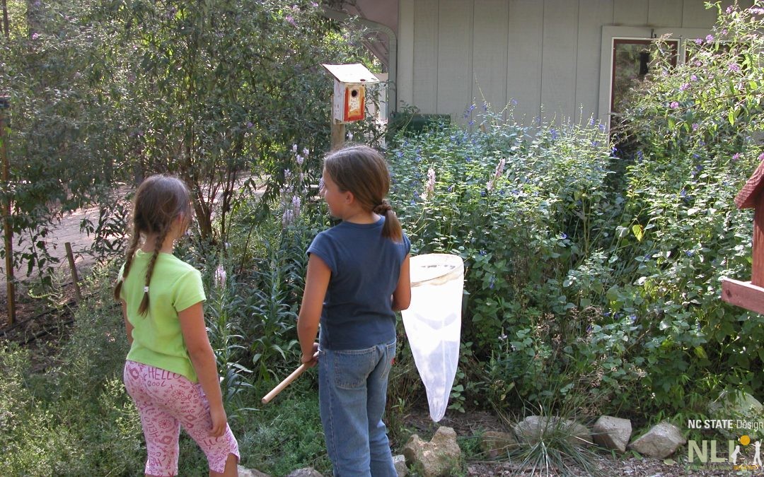 Creating Wildlife Gardens