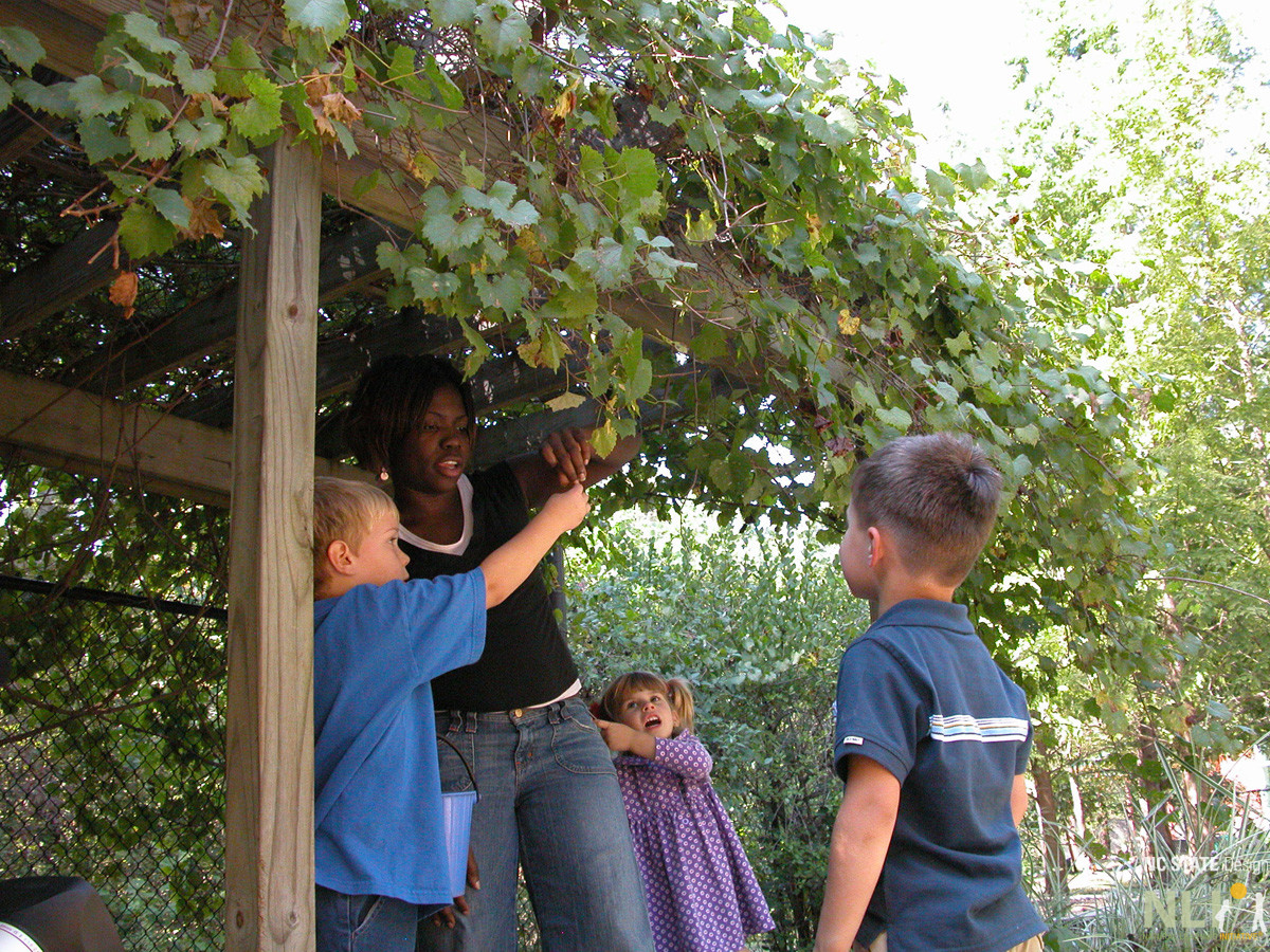 children and adult under arbor covered in vines