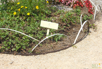 Arching strips of split bamboo.