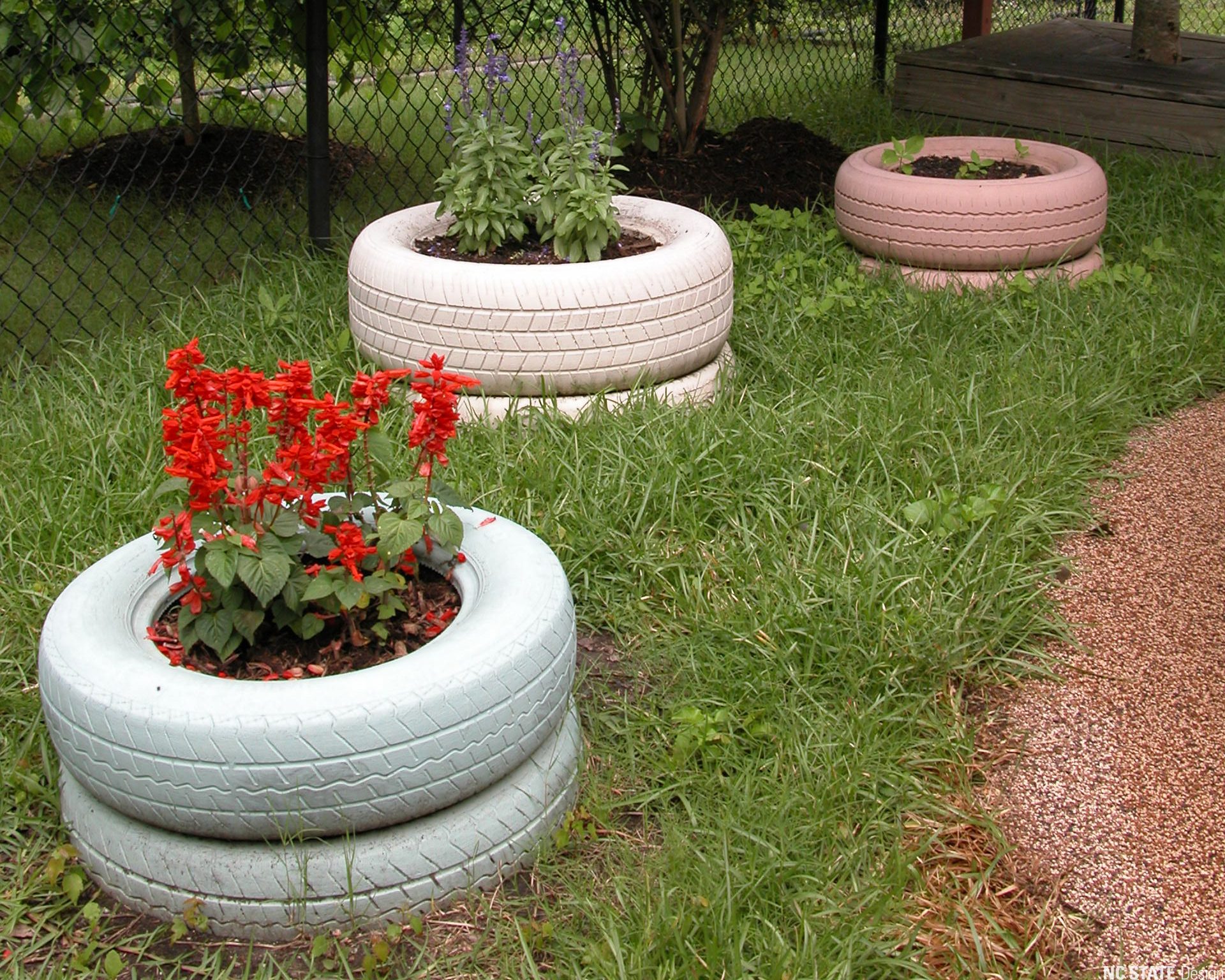 Painting Tire Planters Nli