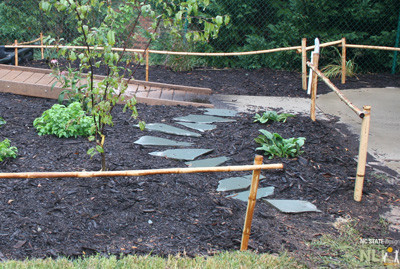 Bamboo posts and rails. Stepping stones create an exploratory pathway that provides access to new plants.