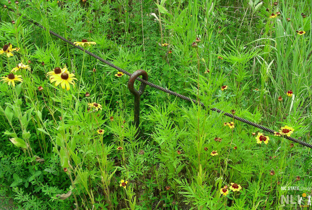 Metal posts with cable or rope.