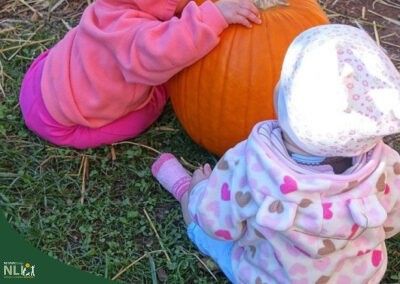 Beyond the Jack O’ Lanterns: Using Pumpkins to Support Learning