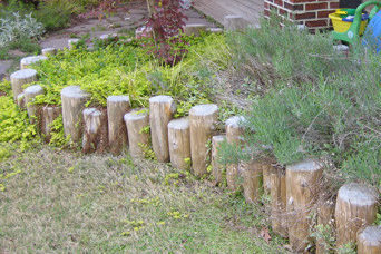 Bamboo posts and rails. Stepping stones create an exploratory pathway that provides access to new plants.