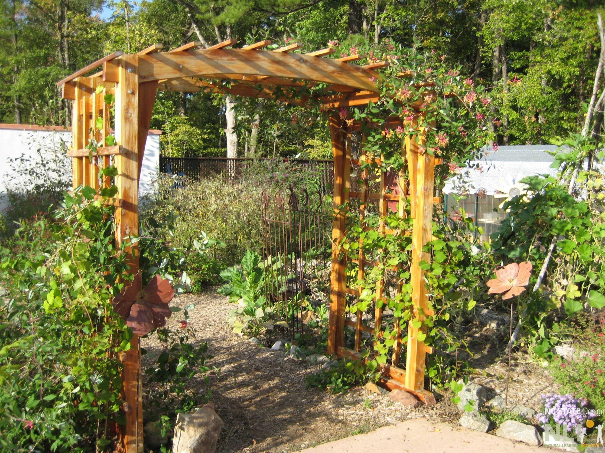 arbor with vines growing on it