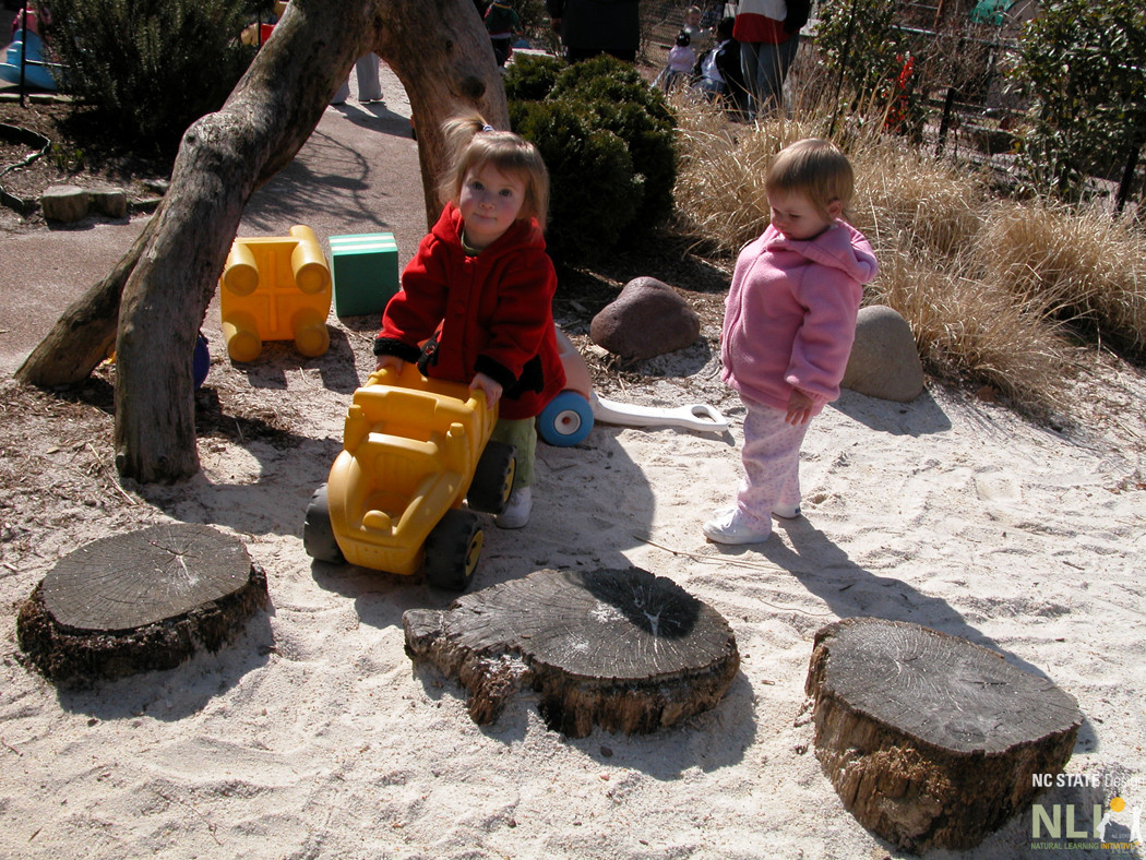 children in sand play with implemented tree cookies