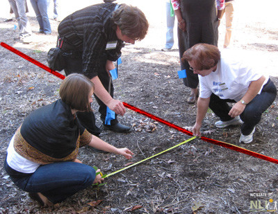 Figure 8 Figure 8