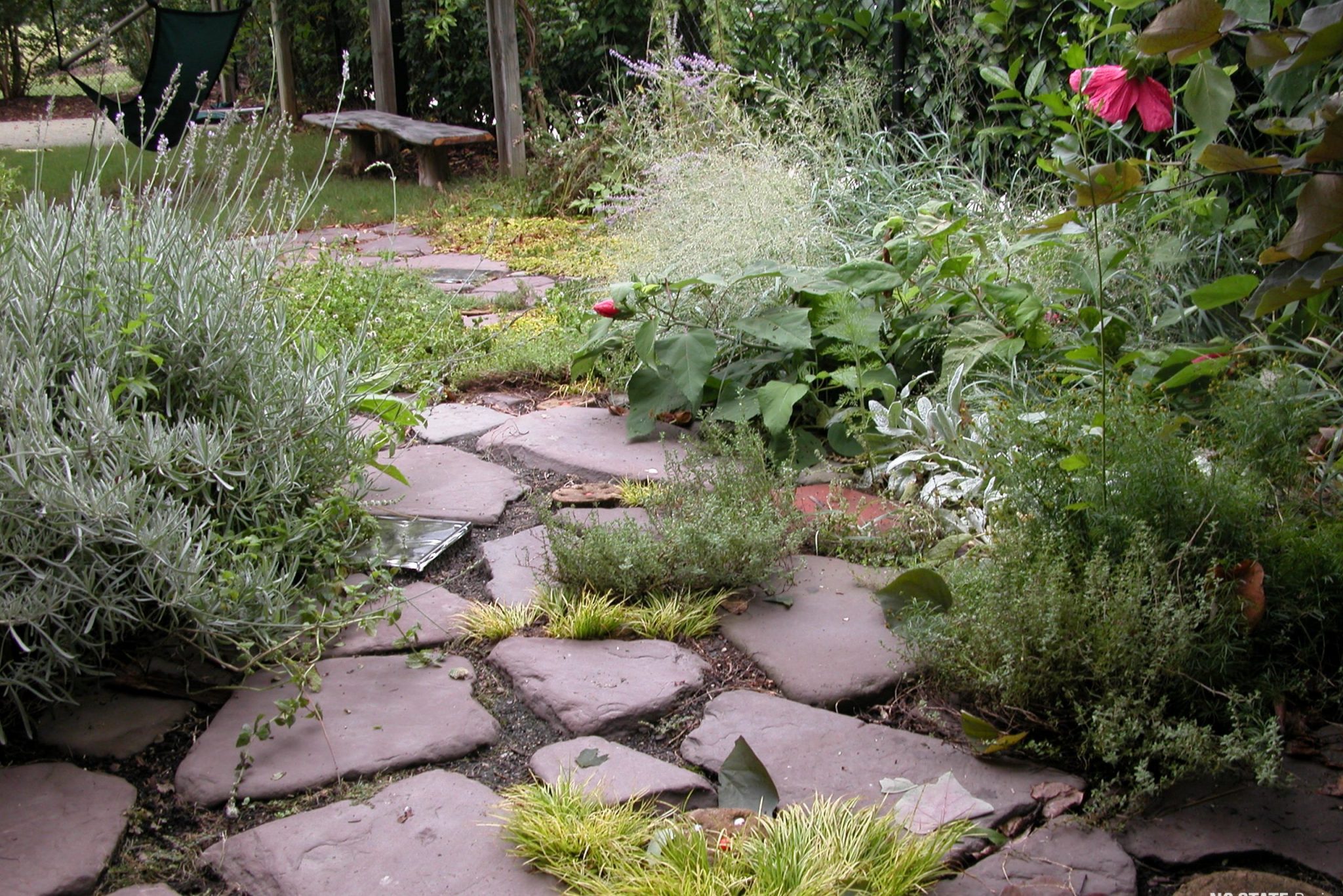 installed stepping stone pathway in between plants