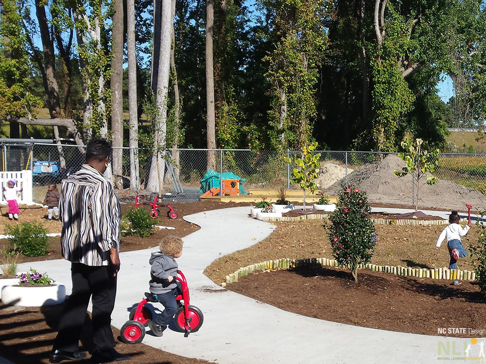 after renovation showing new looping pathway and planted trees