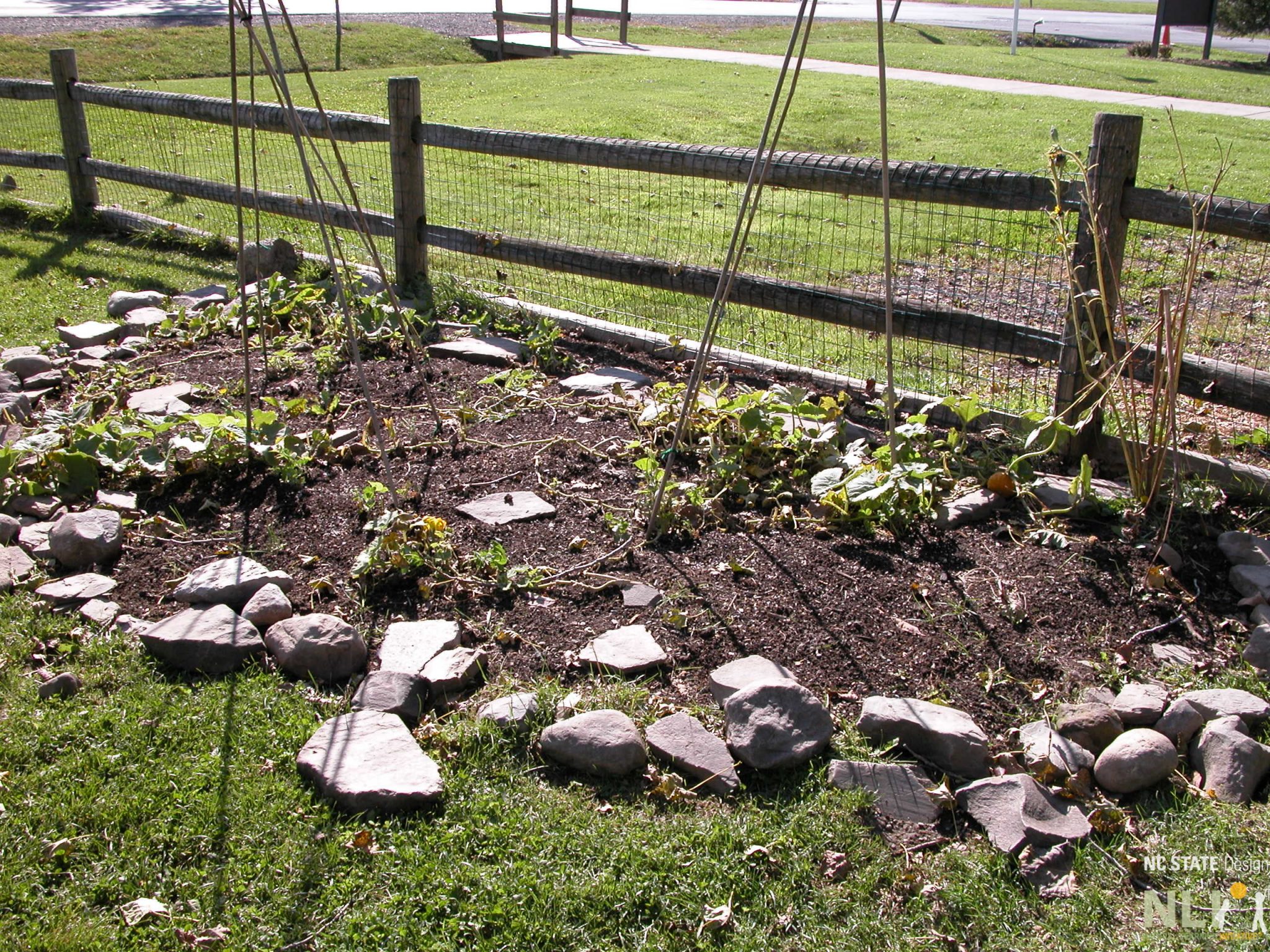 garden with stone border protection