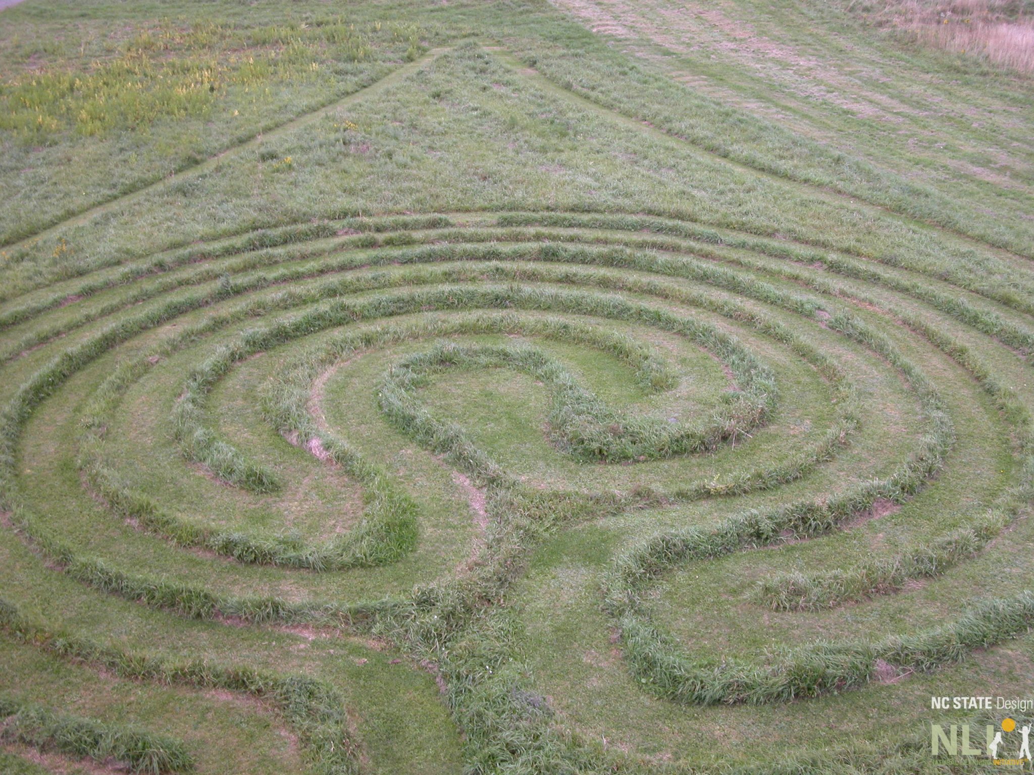 grass maze 1