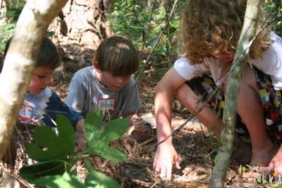 Nature Play Corps