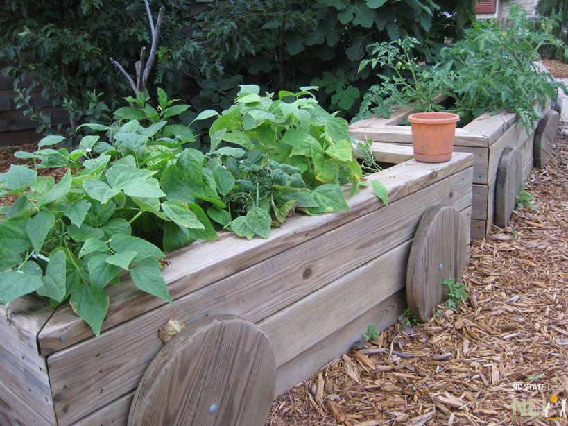 raised planting beds 2