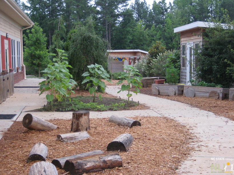 pathway with stepping logs