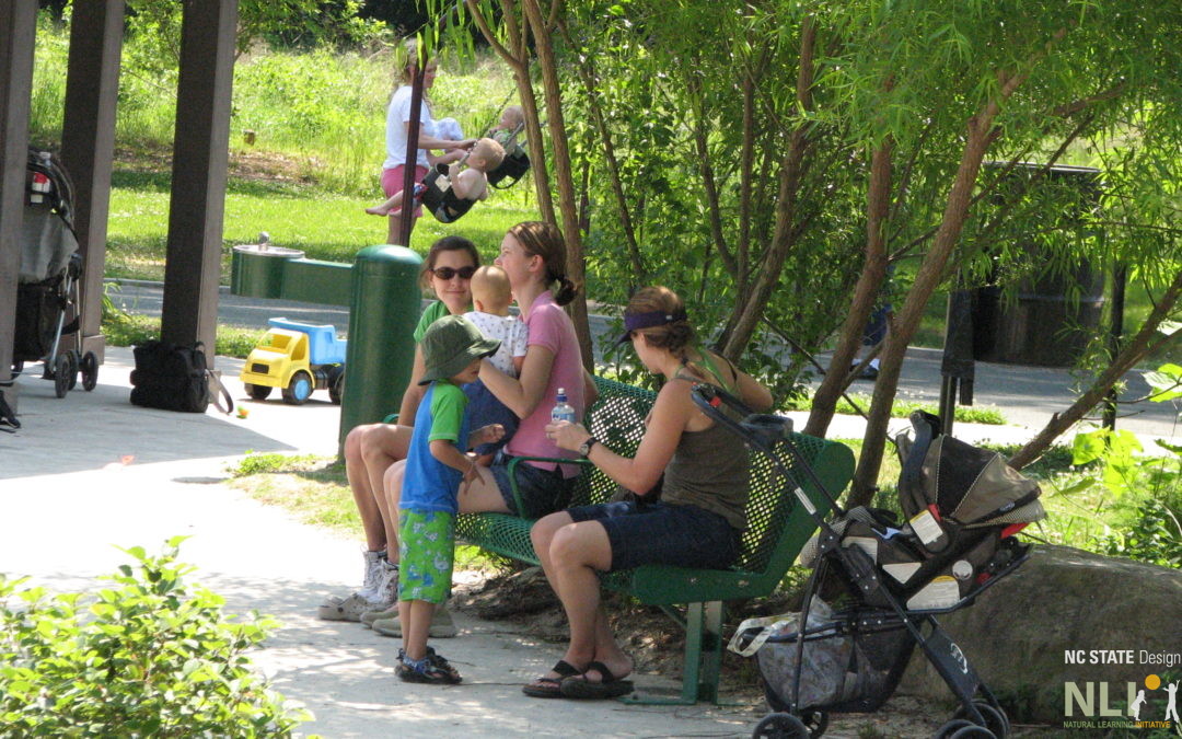 Investigating Parks for Active Recreation for Kids (I-PARK)