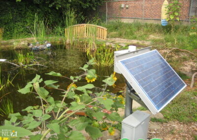 solar panels by pond