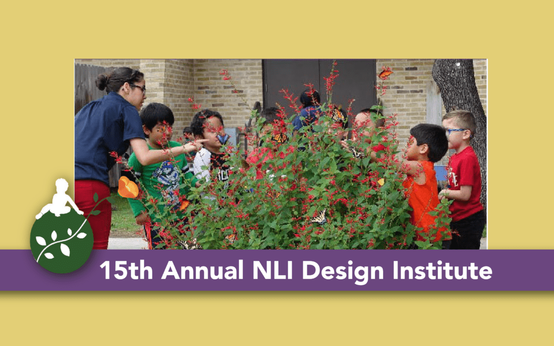 Early Childhood Design Institute 2017
