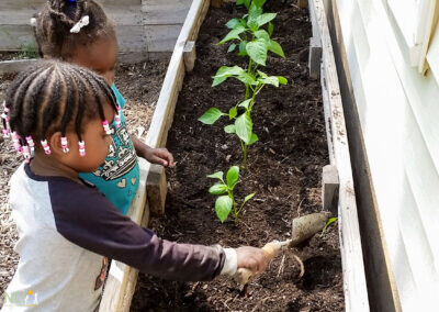 children digging in a raised bed garden