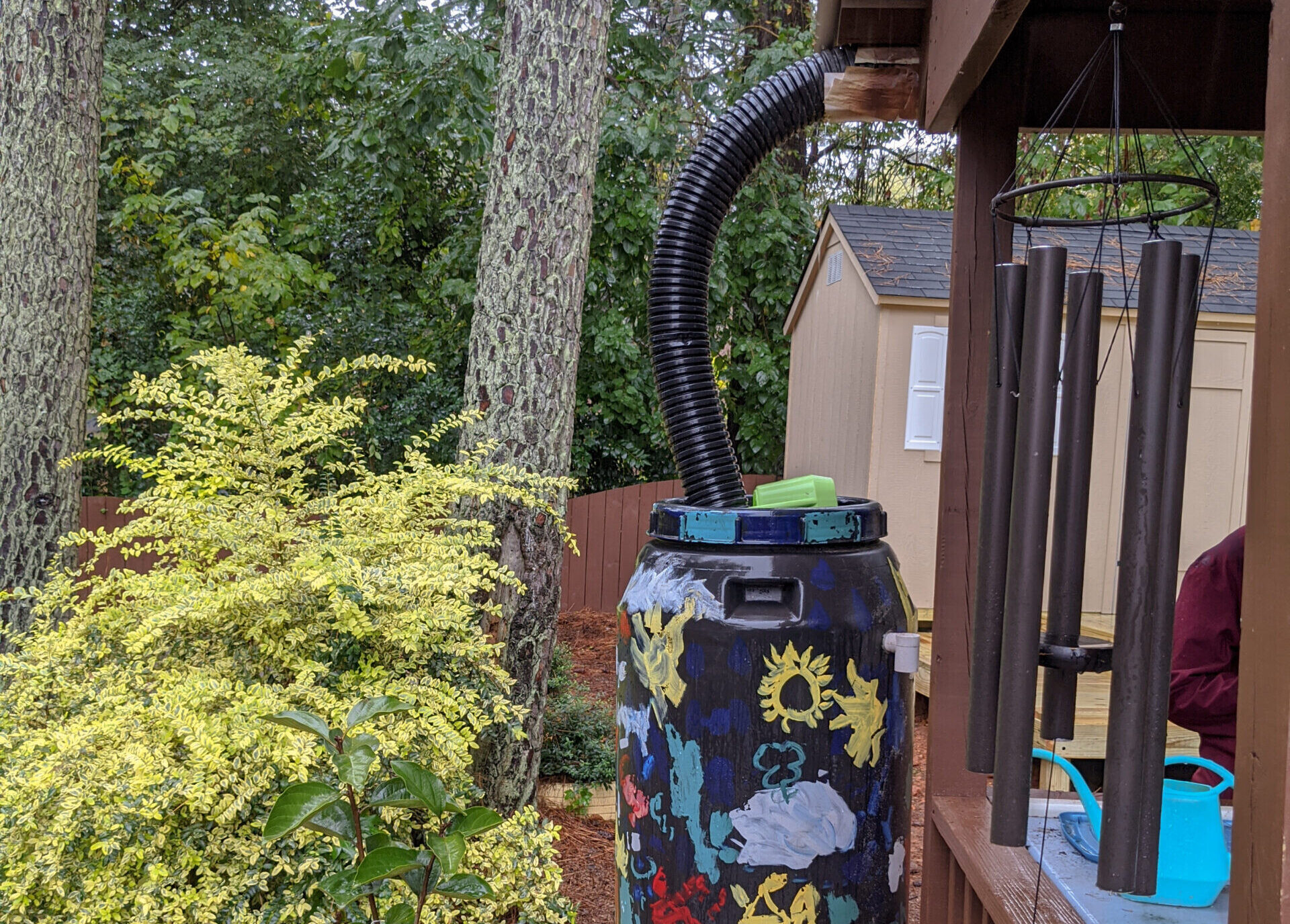 rain barrel connected to roof