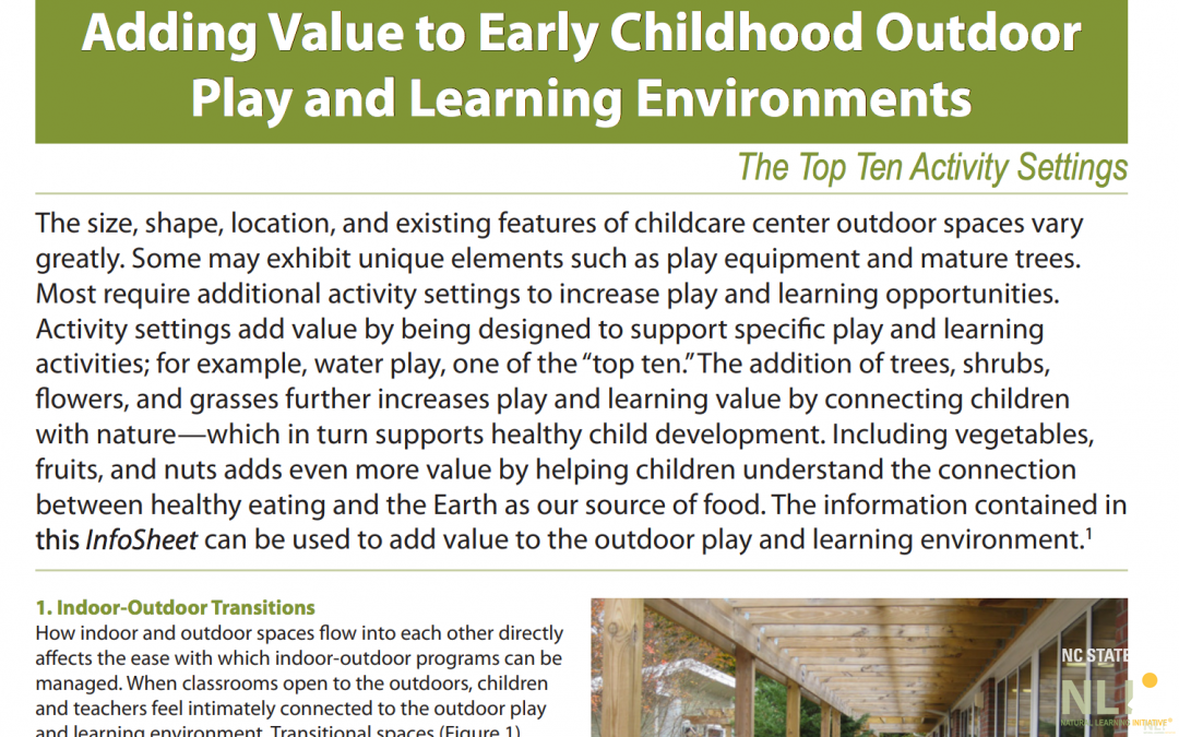 Adding Value to Early Childhood Outdoor Play and Learning Environments