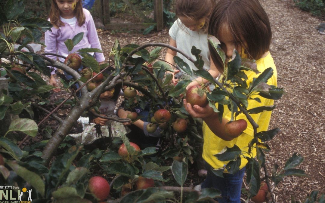 Edible Plants for Play and Learning