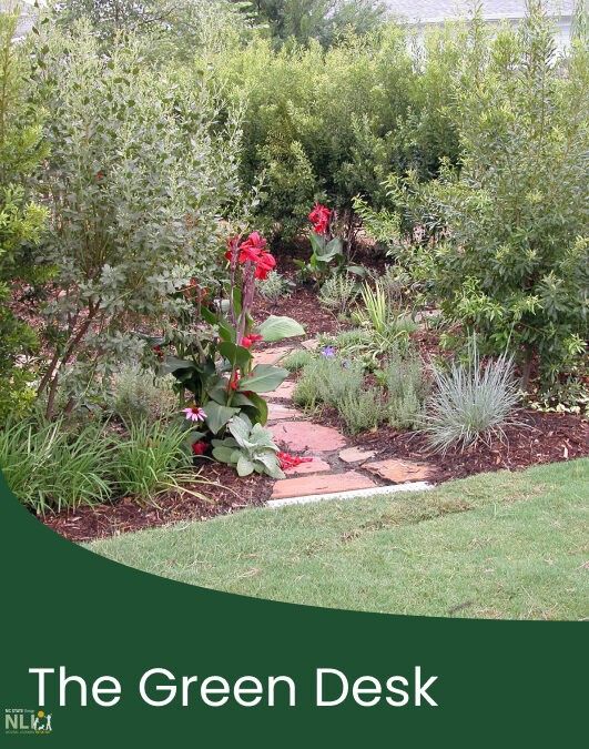 Landscape Plant List