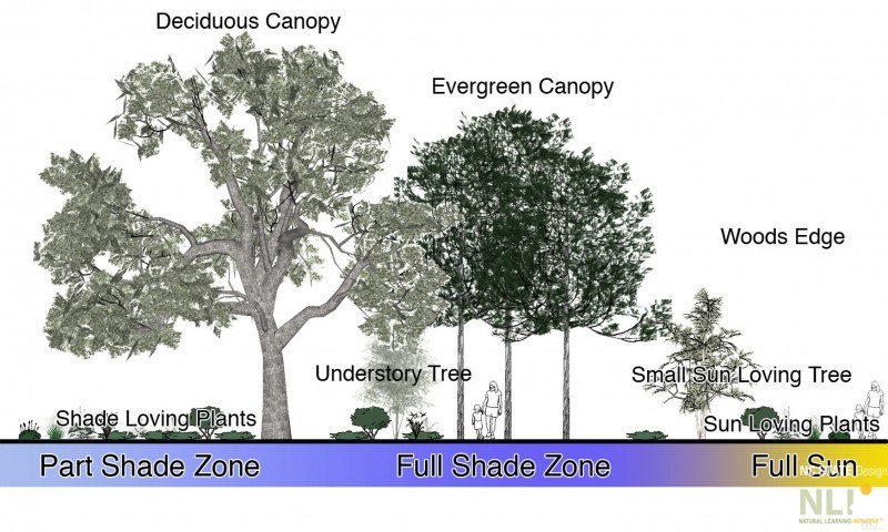 Landscape Plants for Play and Learning