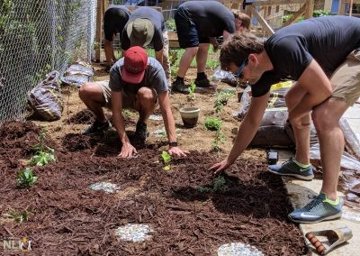 volunteers creating a sensory garden