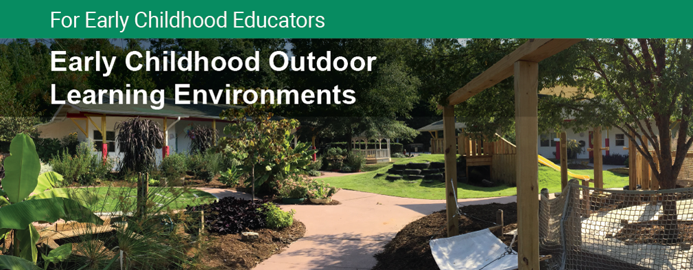 Early Childhood Outdoor Learning Environments Certificate | NLI