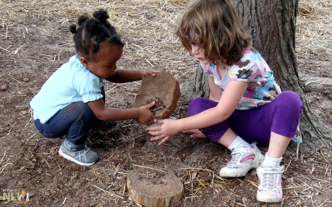 Research Brief: Impact of Naturalized Early Childhood Outdoor Learning Environments