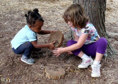 Research Brief: Impact of Naturalized Early Childhood Outdoor Learning Environments