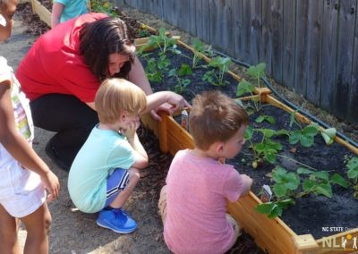 children observing garden beds