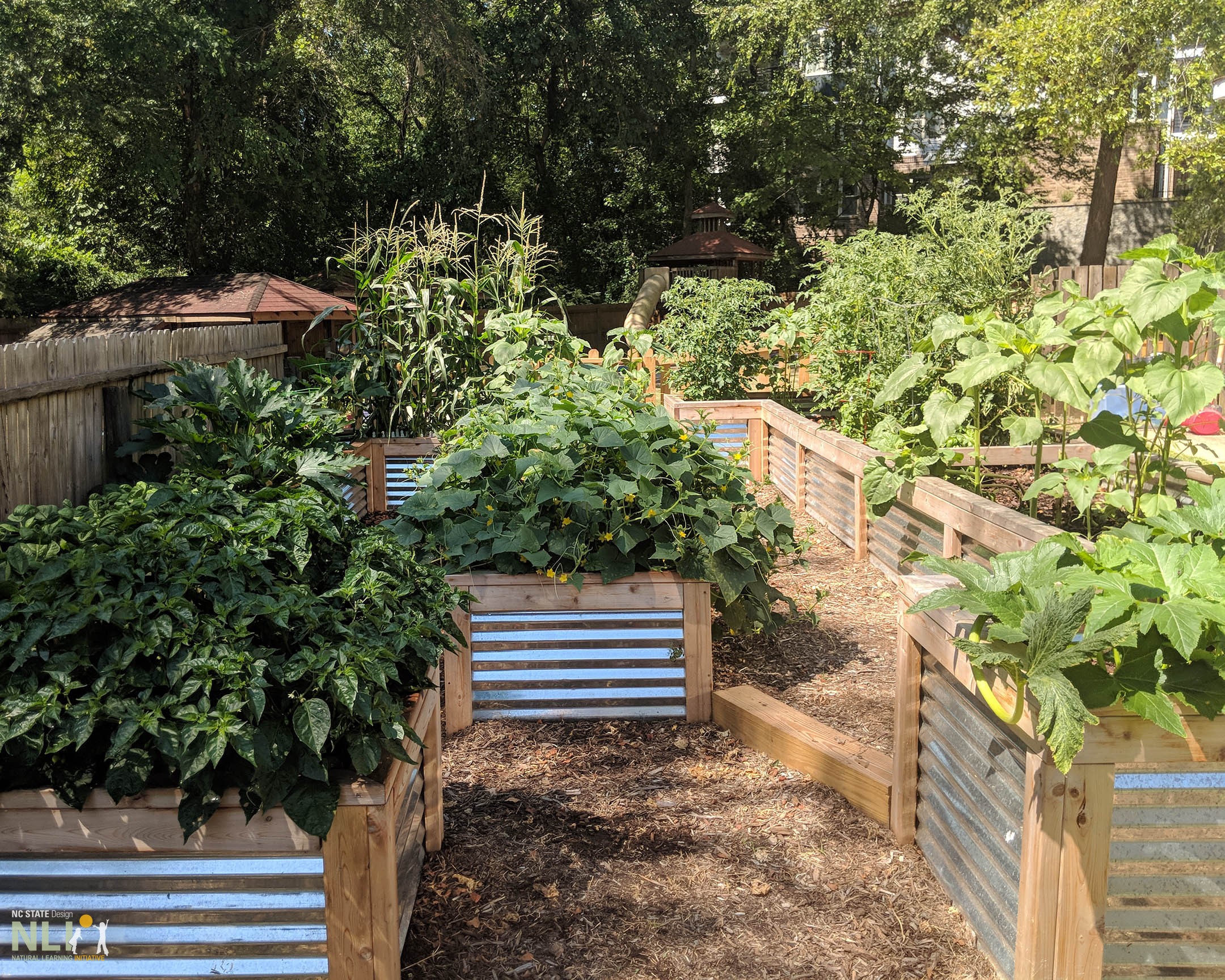 Raised fruit and vegetable garden