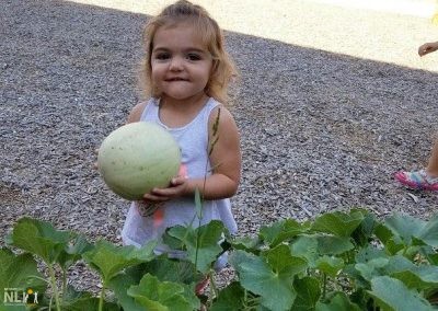 child holding a cantaloupe