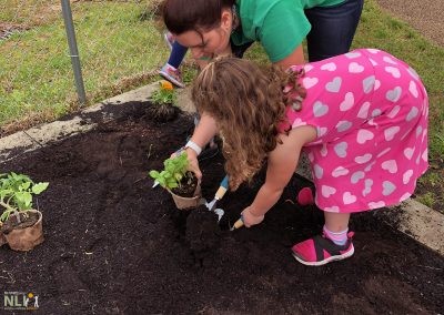 adult helping child plant a young plant