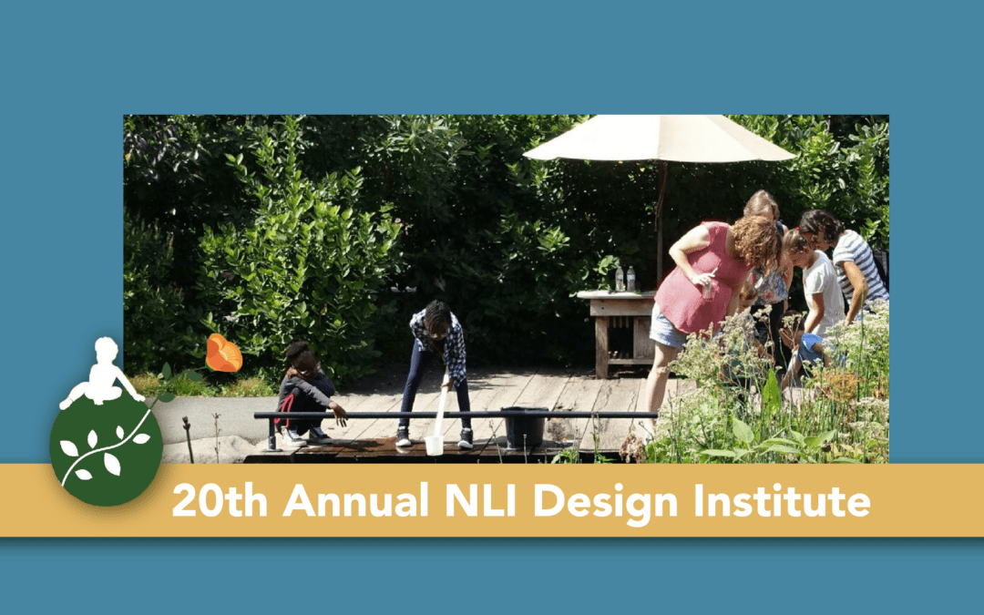 20th Anniversary NLI Design Institute