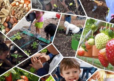 Preschool Gardening Activity Guide