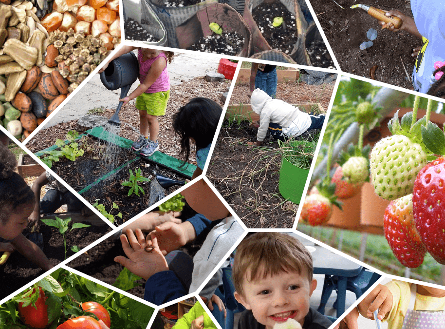 Preschool Gardening Activity Guide